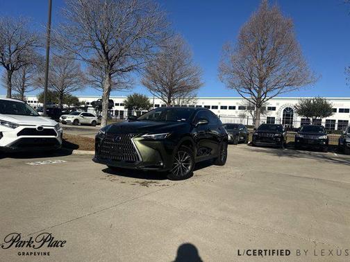 2024 Lexus NX 250 Premium