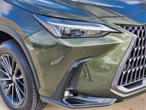 2024 Lexus NX 250 Premium