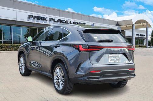 2025 Lexus NX 350 Premium