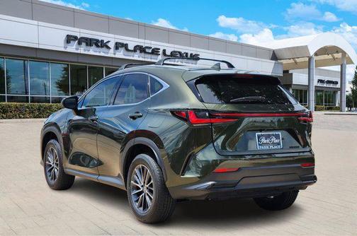 2025 Lexus NX 250 Base