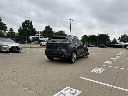 Gray 2025 Lexus NX 350 Premium