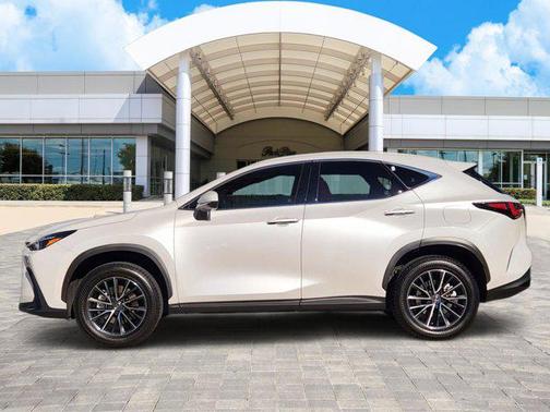 2025 Lexus NX 250 Premium