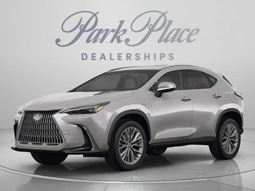 Atomic Silver 2025 Lexus NX 250 Premium