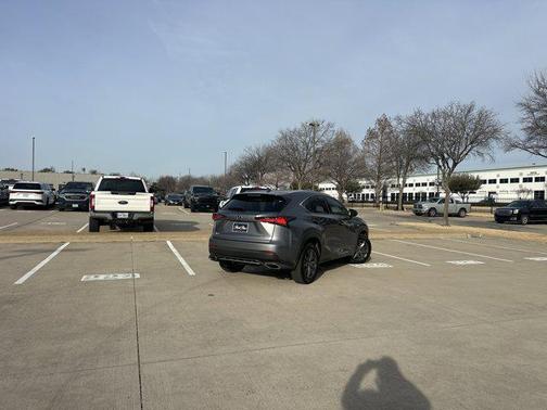 2020 Lexus NX 300 F Sport