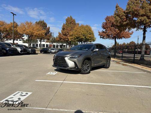 2023 Lexus NX 250 Premium
