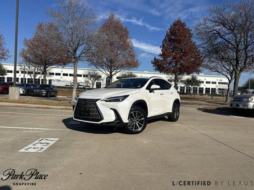 2024 Lexus NX 250 Premium
