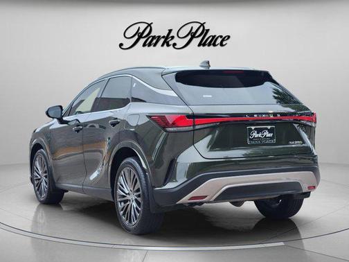 Green Pearl 2023 Lexus RX 350 Luxury