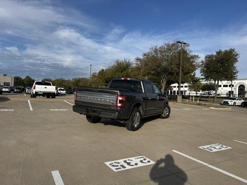 2022 Ford F-150 Platinum