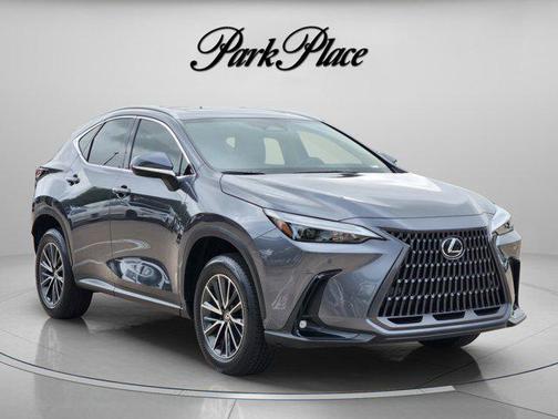 Cloudburst Gray 2024 Lexus NX 250 Premium