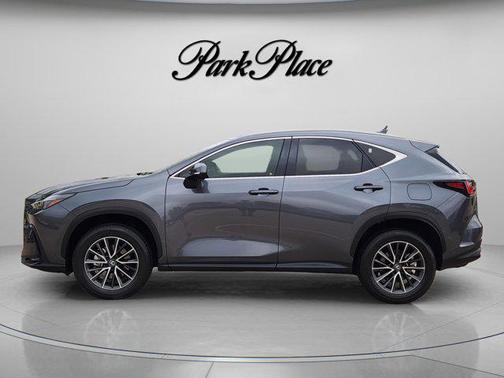 Cloudburst Gray 2024 Lexus NX 250 Premium