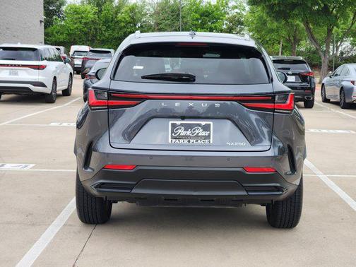 Cloudburst Gray 2024 Lexus NX 250 Premium