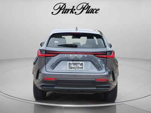 Cloudburst Gray 2024 Lexus NX 250 Premium