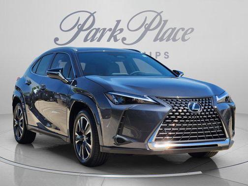 Cloudburst Gray 2026 Lexus UX 300h Premium