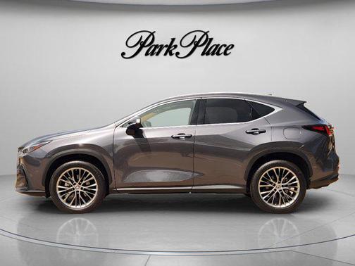 Gray 2022 Lexus NX 350 Luxury