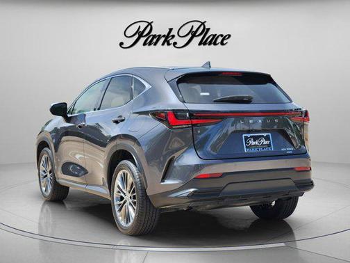 Gray 2022 Lexus NX 350 Luxury