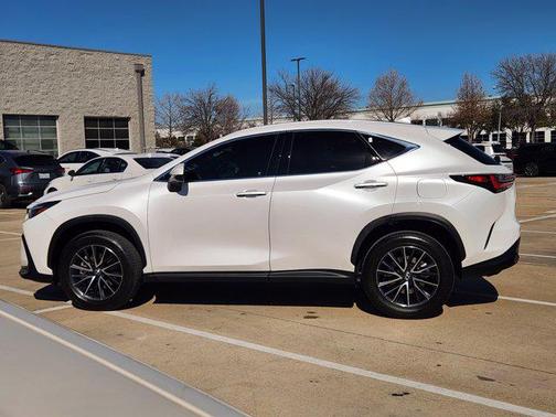 2024 Lexus NX 250 Premium