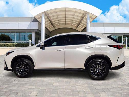 2024 Lexus NX 250 Premium