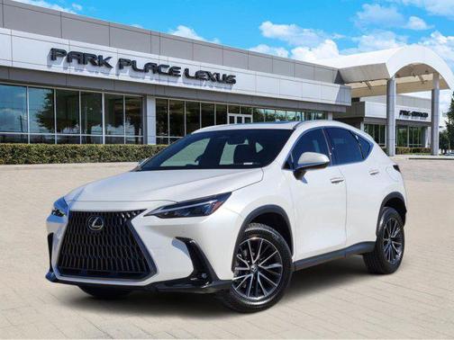 2024 Lexus NX 250 Premium