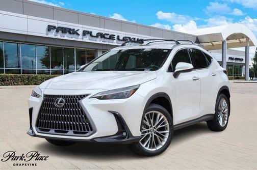 2025 Lexus NX 350 Premium