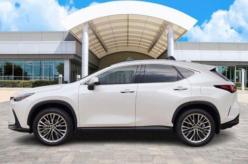 2025 Lexus NX 350 Premium