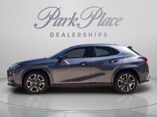 Cloudburst Gray 2026 Lexus UX 300h Premium