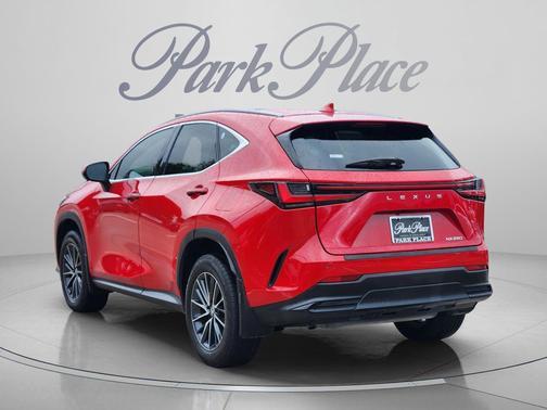 Red Line 2024 Lexus NX 250 Premium