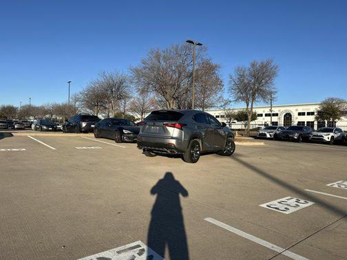 2019 Lexus NX 300 F Sport