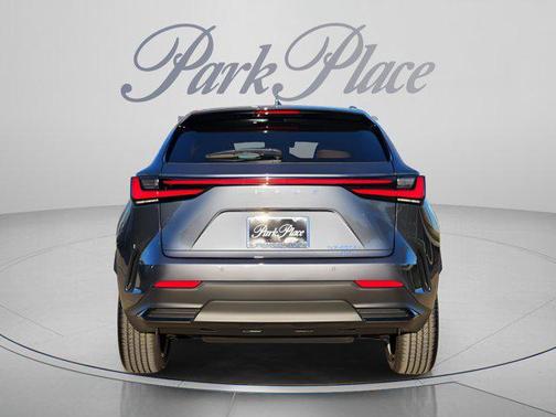Cloudburst Gray 2026 Lexus NX 450h+ Luxury