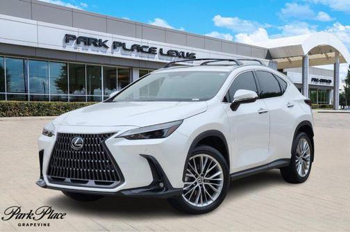 2025 Lexus NX 350 Premium