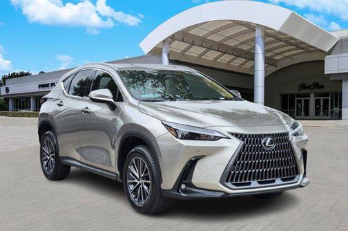 2025 Lexus NX 250 Premium