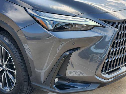2025 Lexus NX 250 Premium