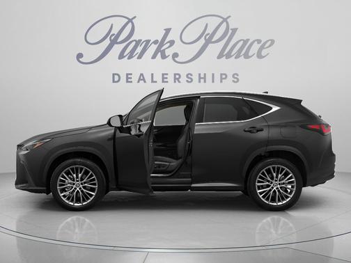 Gray 2024 Lexus NX 250 Premium