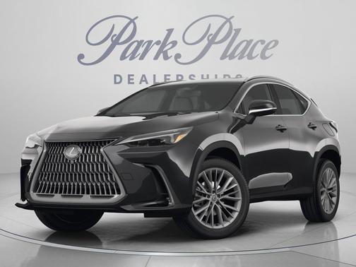Gray 2024 Lexus NX 250 Premium