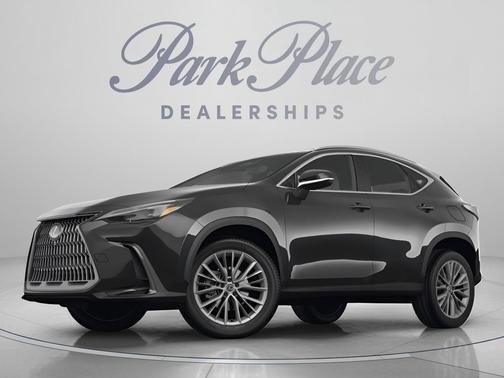 Gray 2024 Lexus NX 250 Premium