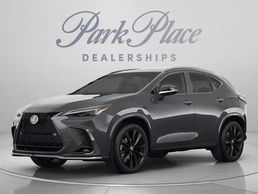 Gray 2022 Lexus NX 350 Premium