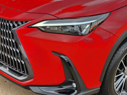 2025 Lexus NX 250 Premium