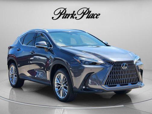 Cloudburst Gray 2026 Lexus NX 350h Luxury