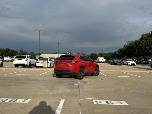 Red Line 2024 Lexus NX 350 Premium