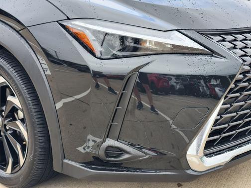 Caviar 2025 Lexus UX 300h Base