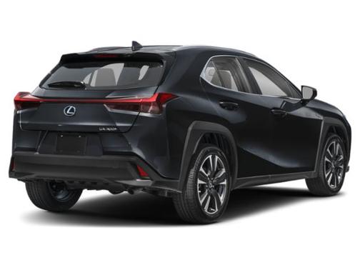 Caviar 2025 Lexus UX 300h Base