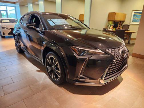 2025 Lexus UX 300h Premium