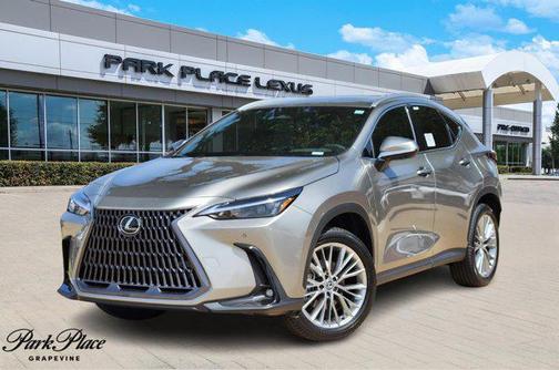 2025 Lexus NX 350 Premium