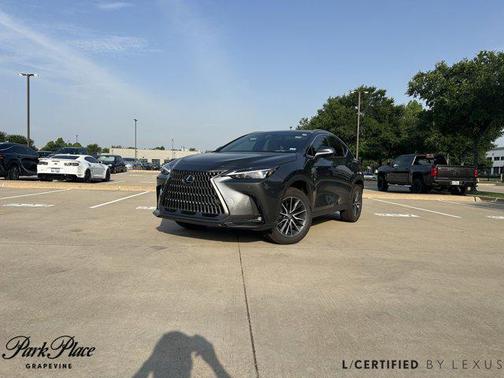 2025 Lexus NX 250 Base
