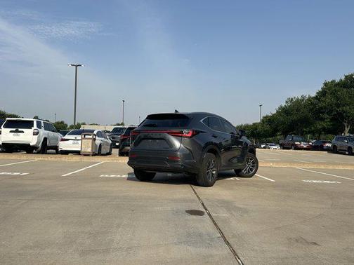 2025 Lexus NX 250 Base