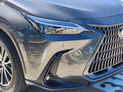 2025 Lexus NX 250 Base