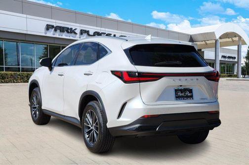 2025 Lexus NX 250 Base