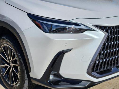 2025 Lexus NX 250 Premium