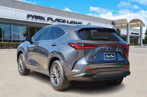 2025 Lexus NX 250 Base