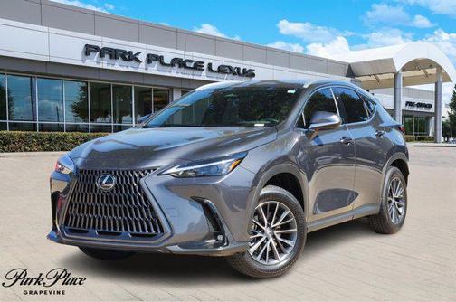 2025 Lexus NX 250 Base