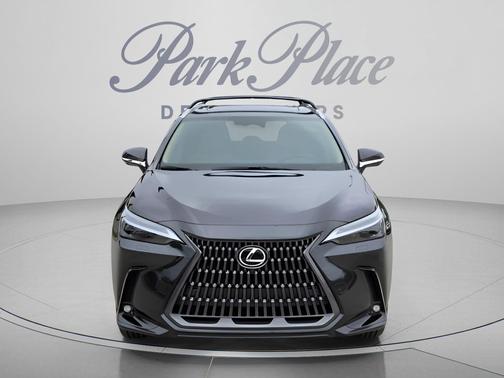 Caviar 2025 Lexus NX 450h+ Luxury